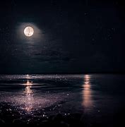 Image result for Sun Sea Moon