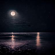 Image result for Moon Easan