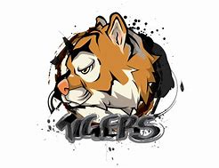 Image result for Taekwondo Tigers