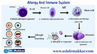 Image result for Allergy Journal