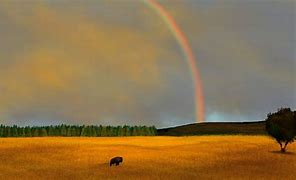 Image result for Rainbow Brigh Buffalo