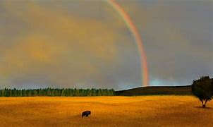 Image result for Big Rainbow Buffalo