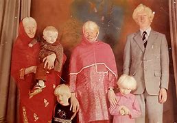 Image result for Albino Elg