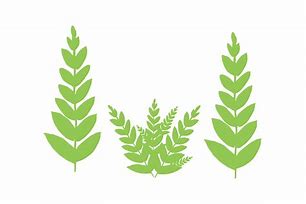 Image result for Nature SVG Files