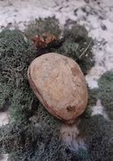 Image result for Nodule Rock