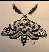 Image result for Death Head Moth Skull