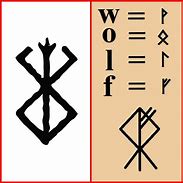 Image result for Berserker Rune