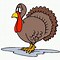 Image result for Animated Turkey