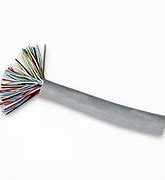 Image result for 20 Pair Telephone Cable