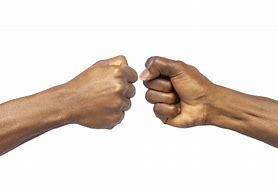 Image result for Jersey Shore Fist Bump