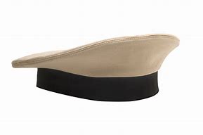 Image result for Navy Ivy Cap