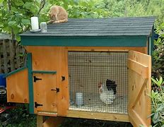 Image result for Chicken Pen Ideas