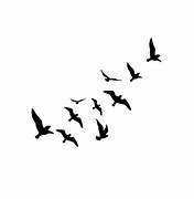 Image result for 2 Birds Flying Drawing