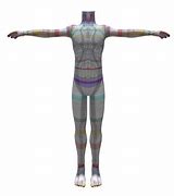 Image result for SL Mesh Body