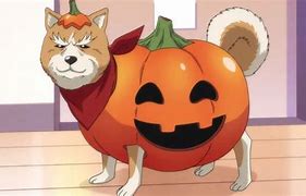 Image result for Anime Dogg St