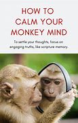 Image result for Monkey Mind for Kids