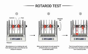 Image result for Rotarod Road