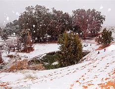 Image result for Sahara Desert Snow