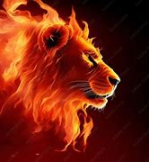 Image result for Fire Lion One Anime