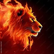 Image result for Real Fire Lion