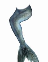 Image result for Mermaid Fin