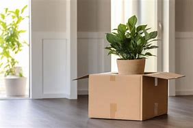 Image result for Outdoor Boxit Plant