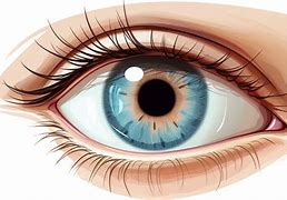 Image result for Pons Eye Globe Face