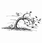 Image result for Tree Blowing in Wind Sketch