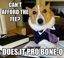 Image result for Dog Attorney Meme