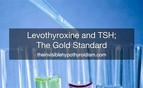 Image result for TSH and Thyroxine