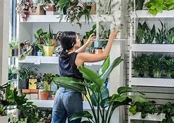 Image result for Selling Plants