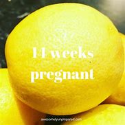 Image result for 14 Weeks and 4 Days Pregnant