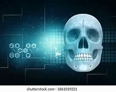 Image result for Human Skull Anatomy 3D