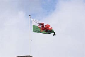 Image result for Welsh Flag Logo