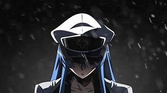 Image result for Esdeath Character Design