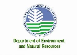 Image result for DENR 7 Logo