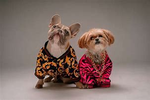 Image result for Clothes for Dogs Product