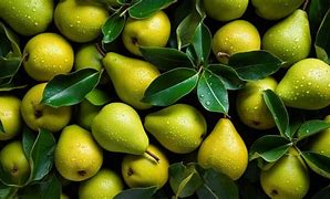 Image result for Nice Pear Photo