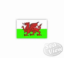 Image result for Welsh Flag Butterfly Car Stickers