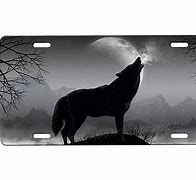 Image result for South Carolina License Plate with Wolf