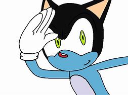 Image result for Oggy Sonic