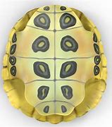 Image result for Turtle Shell STL