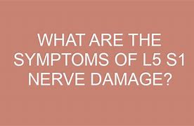 Image result for L5 Nerve Function