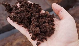 Image result for Oil From Peat