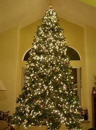 Image result for 12 Foot Christmas Tree