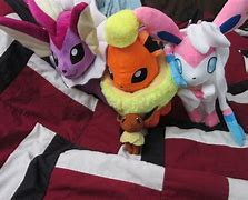 Image result for To My Eeveelution Plushies