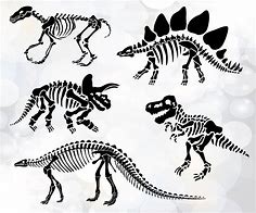 Image result for Dinosaur Skeleton Printable