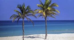 Image result for Havana Cuba Beaches