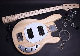 Image result for Bass Guitar Kits