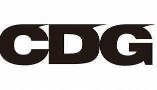 Image result for 4 Cdsg Logo